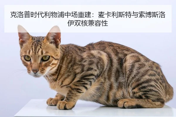 克洛普时代利物浦中场重建：麦卡利斯特与索博斯洛伊双核兼容性