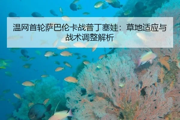 温网首轮萨巴伦卡战普丁塞娃：草地适应与战术调整解析
