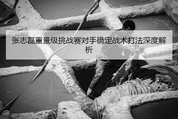 张志磊重量级挑战赛对手确定战术打法深度解析