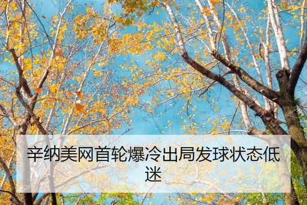 xin-na-mei-wang-shou-lun-bao-leng-chu-ju-fa-qiu-zhuang-tai-di-mi-2-443.jpg