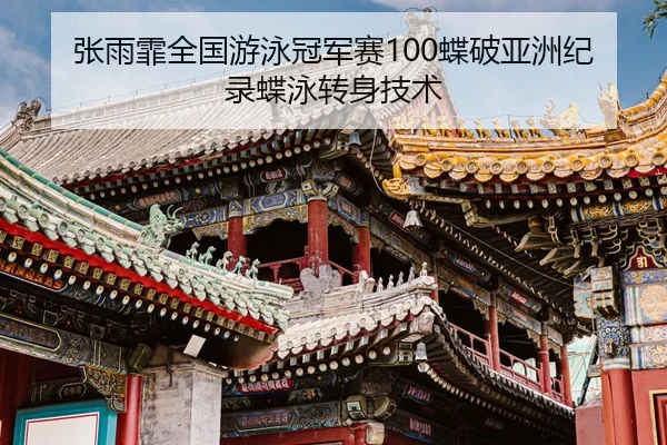 zhang-yu-fei-quan-guo-you-yong-guan-jun-sai-die-po-ya-zhou-ji-lu-die-yong-zhuan-shen-ji-shu-2-314.jpg