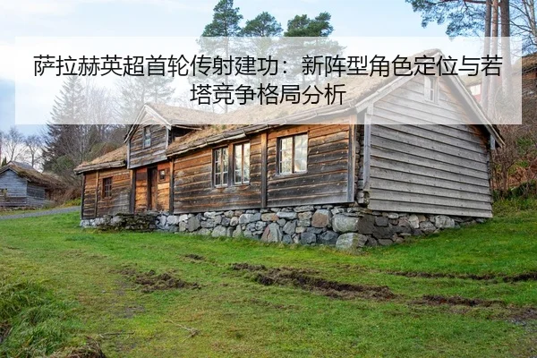 sa-la-he-ying-chao-shou-lun-chuan-she-jian-gong-xin-zhen-xing-jue-se-ding-wei-yu-ruo-ta-jing-zheng-ge-ju-fen-xi-2-384.jpg